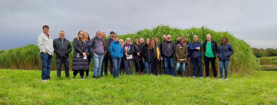 International biomass experts gather at Aberystwyth University