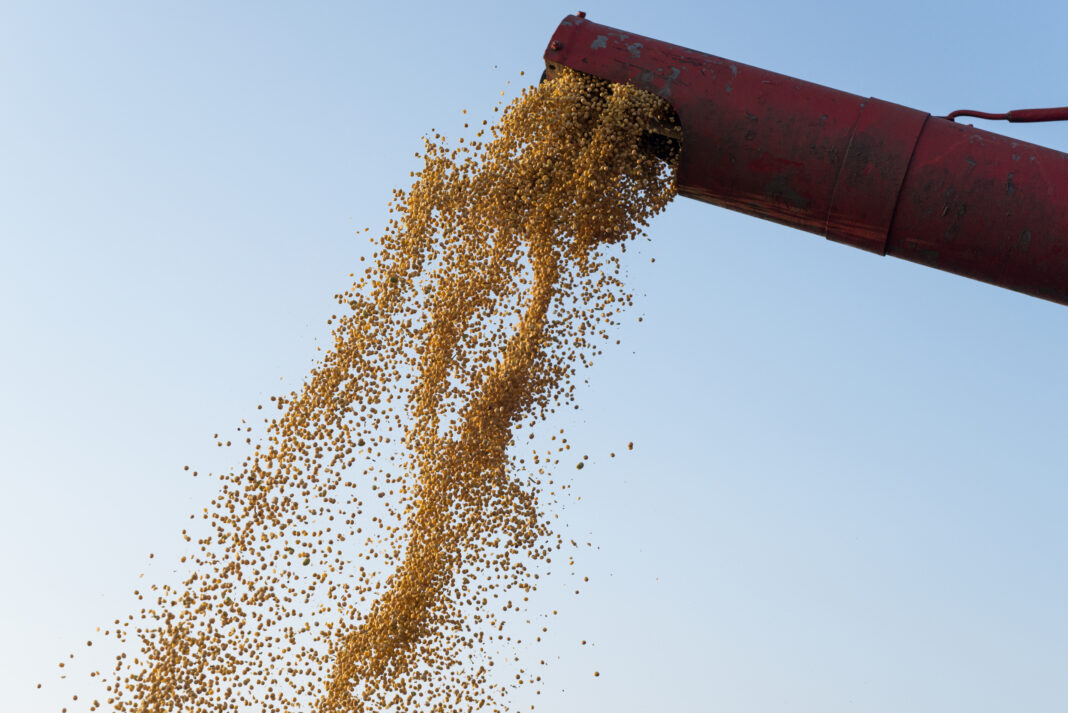 Sonipat biomass pellet plant converting crop residues into biomass fuel